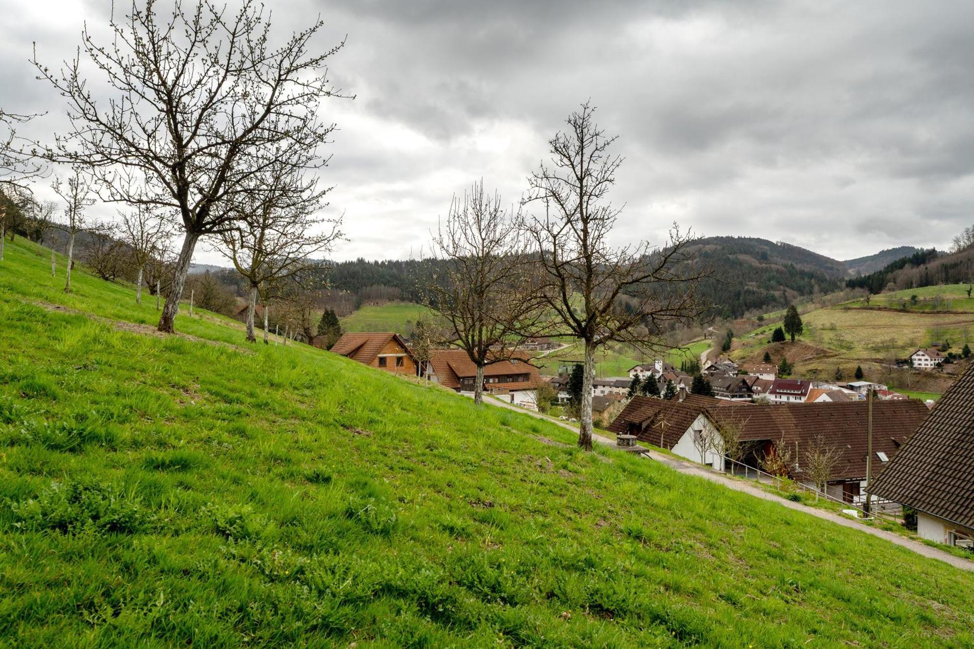 Haus Am Schroffen Apartment Ottenhofen im Schwarzwald Екстериор снимка